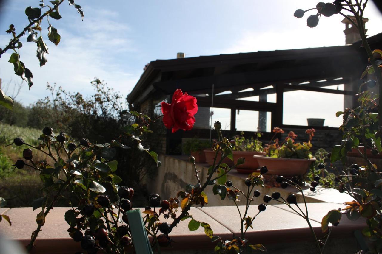 コルレオーネ La Casa Di Bia Bed & Breakfast エクステリア 写真