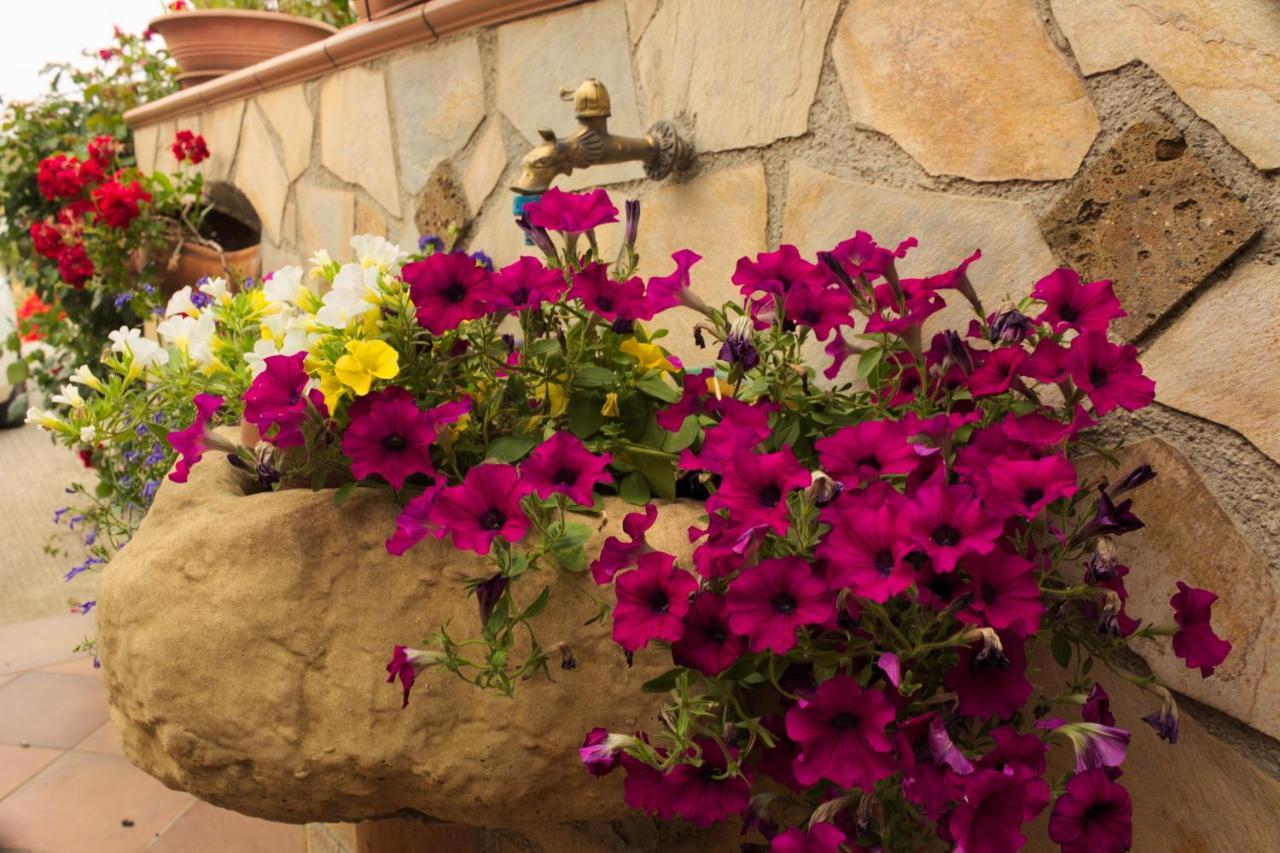 コルレオーネ La Casa Di Bia Bed & Breakfast エクステリア 写真